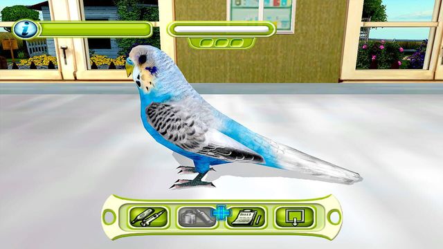 My Vet Practice 1