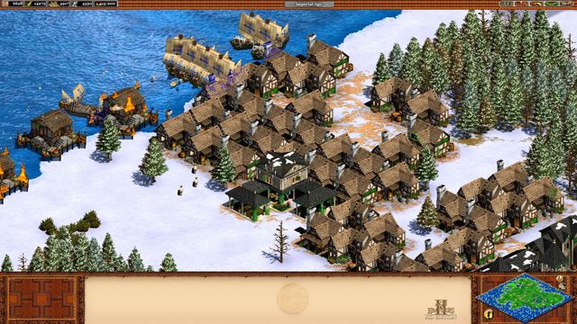 Age of Empires II: HD Edition 6
