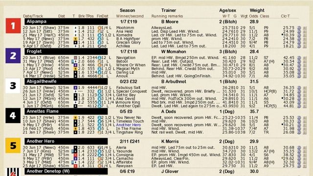 Greyhound Manager 2 Rebooted 3