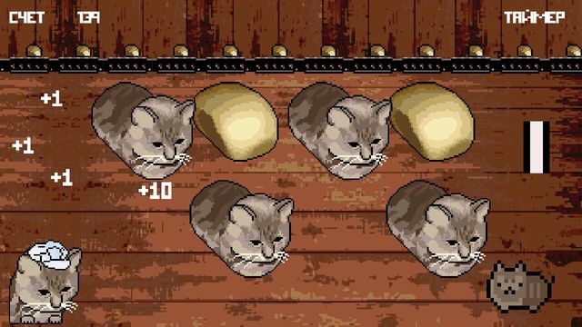 Cat or Bread? 1