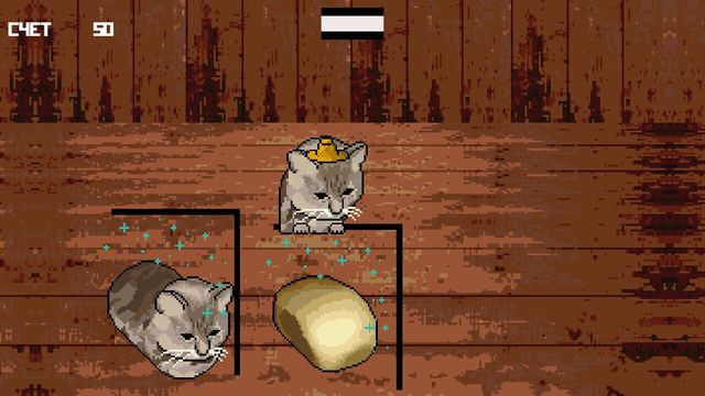 Cat or Bread? 5