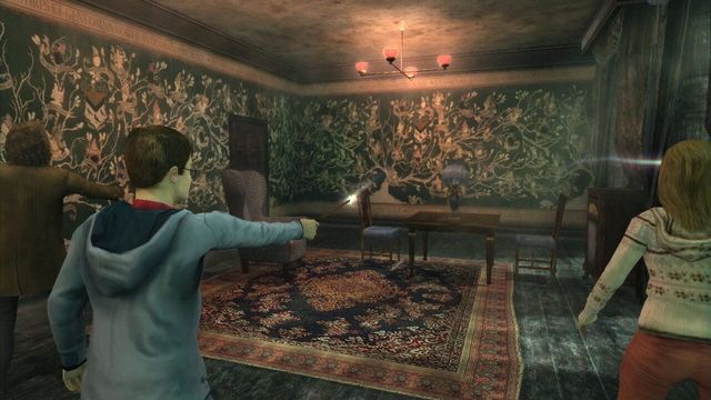 Harry Potter and the Order of the Phoenix 3