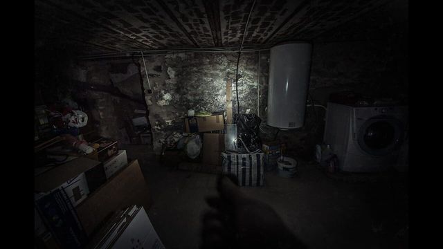 The Fan 3