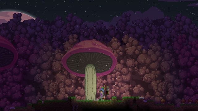 Starbound 6
