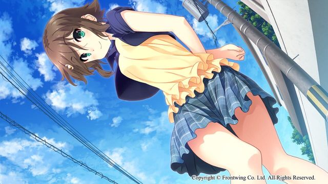 Himawari: The Sunflower 1