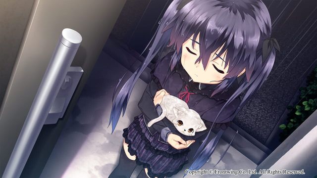 Himawari: The Sunflower 5