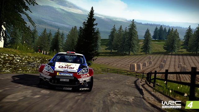 WRC 4 FIA World Rally Championship 5