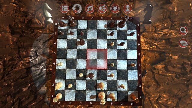 Chess Knight 2 4