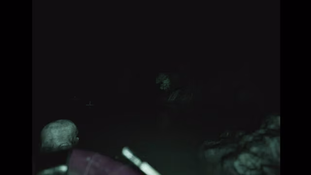 Raccoon on a Boat 1