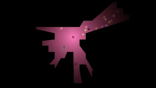 Illumine 2
