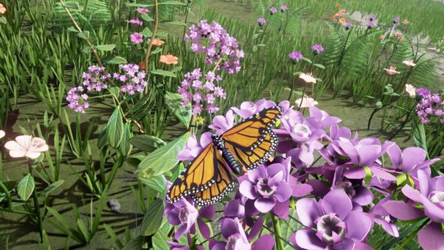 Drunk on Nectar 1