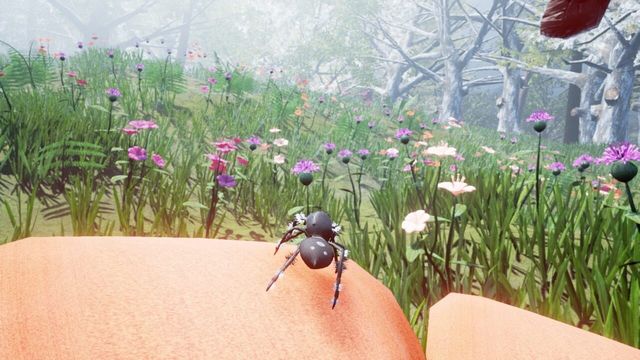 Drunk on Nectar 5