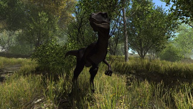 Dinosaur Forest 3