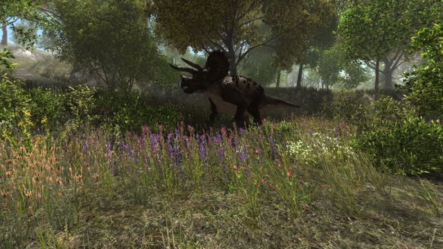 Dinosaur Forest 5