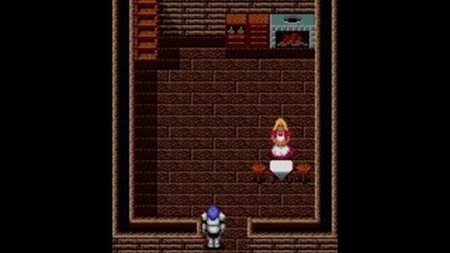 Sword of Vermilion 2