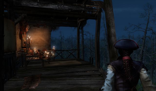 Assassin's Creed III: Liberation 3