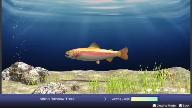 Reel Fishing: Days of Summer 3