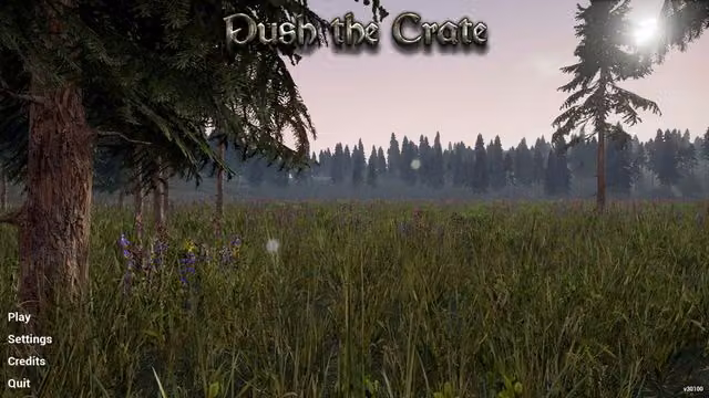 Push the Crate 4