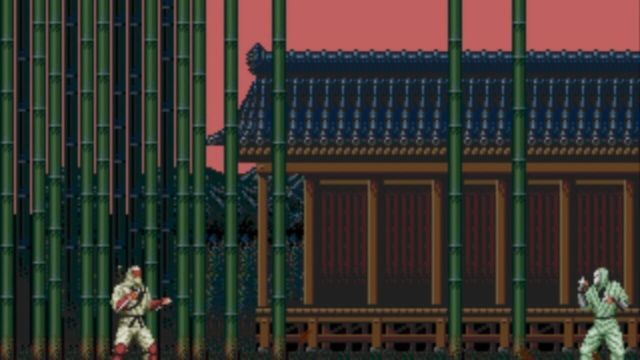 The Revenge of Shinobi 3