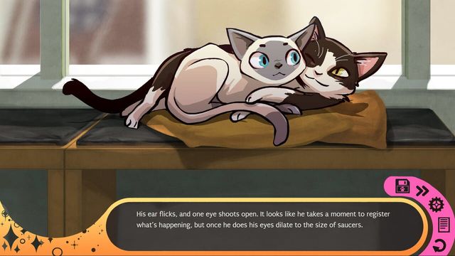 Hustle Cat 3