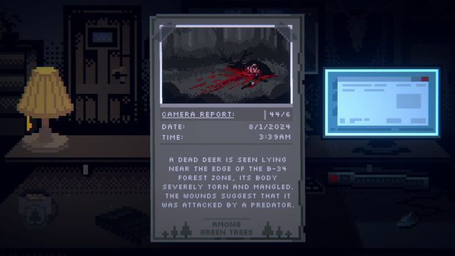 Last Report 6