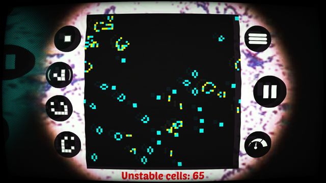 Bacteria 6