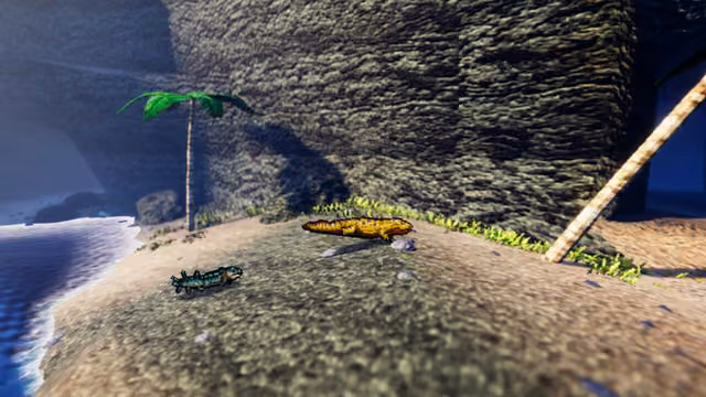Rapax 4