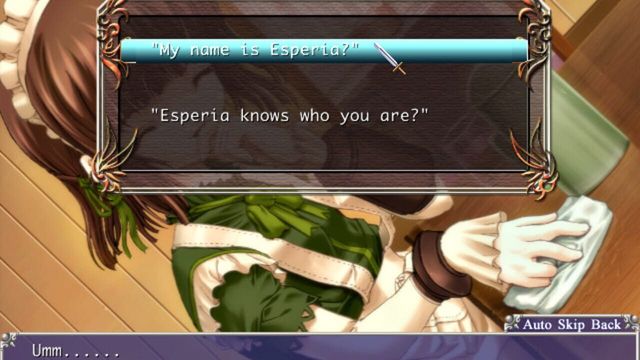 Aselia the Eternal: The Spirit of Eternity Sword 5