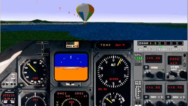 Microsoft Flight Simulator 5.1 3