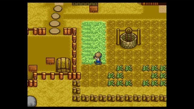 Harvest Moon 2