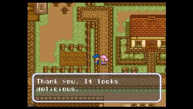 Harvest Moon 3