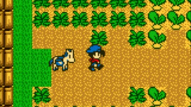 Harvest Moon GB 5