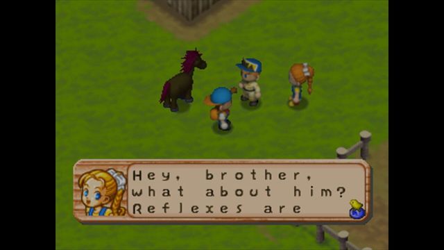 Harvest Moon 64 2
