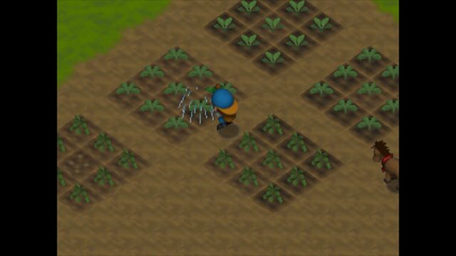 Harvest Moon 64 3