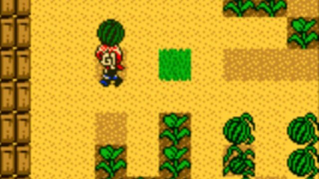 Harvest Moon 2 GBC 1