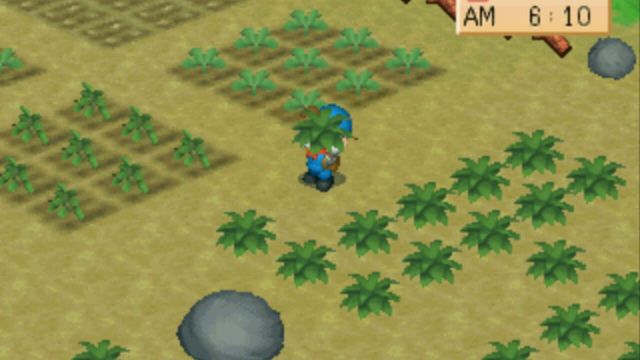 Harvest Moon: Back to Nature 2