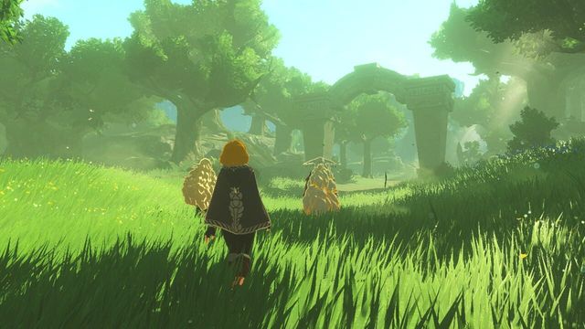 Hyrule Warriors: Age of Imprisonment 2