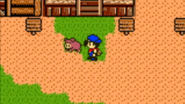 Harvest Moon 3 GBC 5