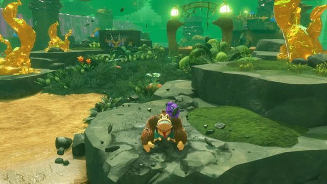 Donkey Kong Bananza 5