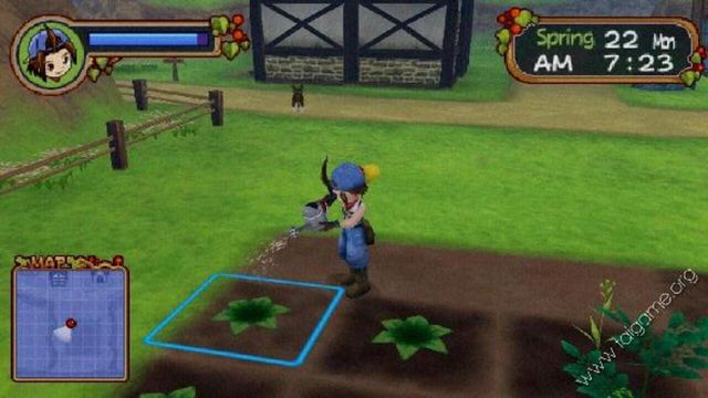 Harvest Moon: Save the Homeland 3