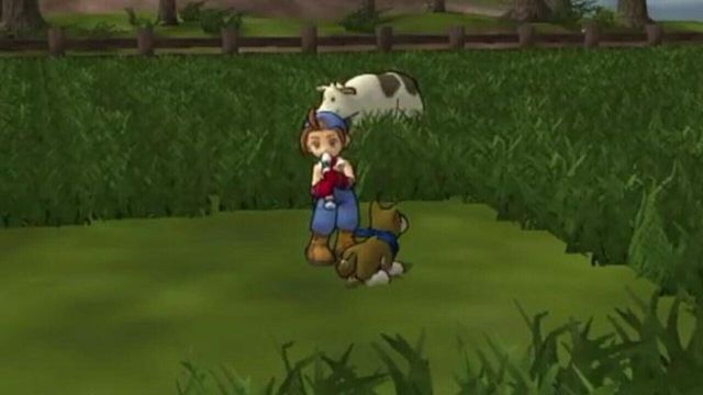 Harvest Moon: Save the Homeland 5