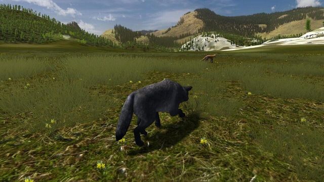 WolfQuest 4