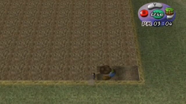 Harvest Moon: A Wonderful Life 3