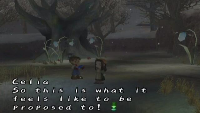 Harvest Moon: A Wonderful Life 4
