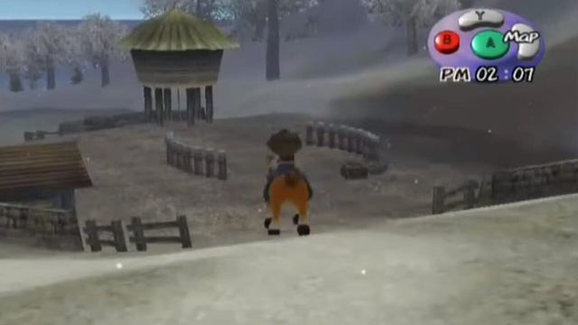 Harvest Moon: A Wonderful Life 5
