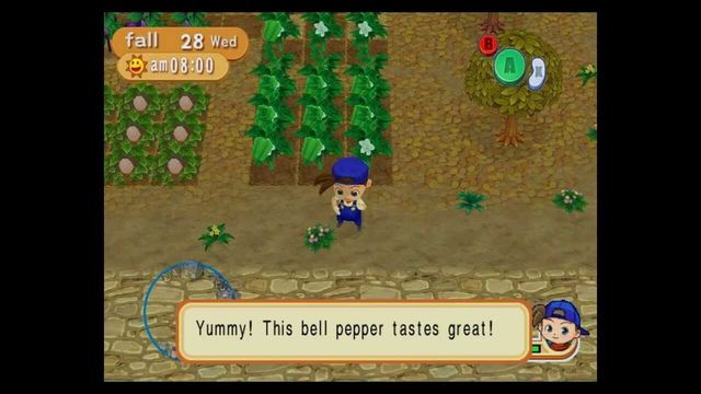 Harvest Moon: Magical Melody 2
