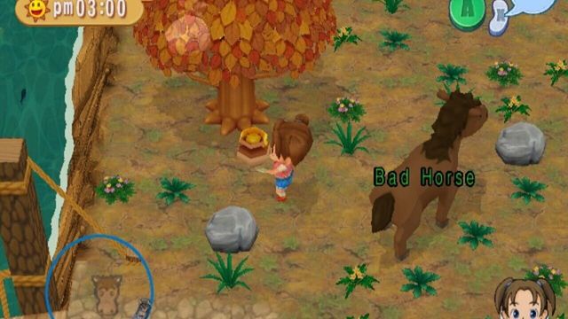 Harvest Moon: Magical Melody 5