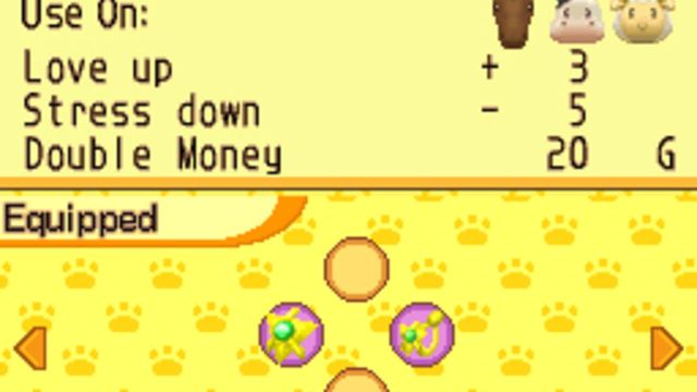 Harvest Moon DS: Island of Happiness 5