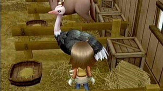 Harvest Moon: Tree of Tranquility 3