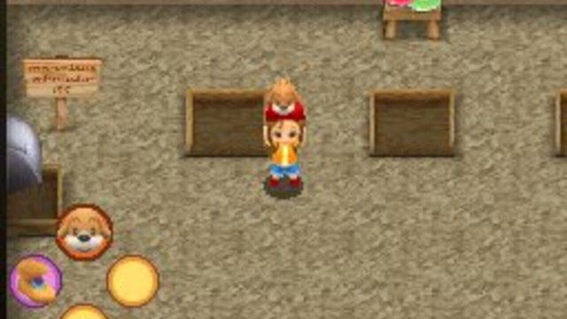 Harvest Moon DS: Sunshine Islands 4